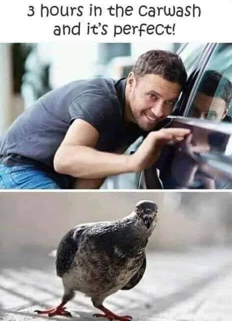 car wash meme