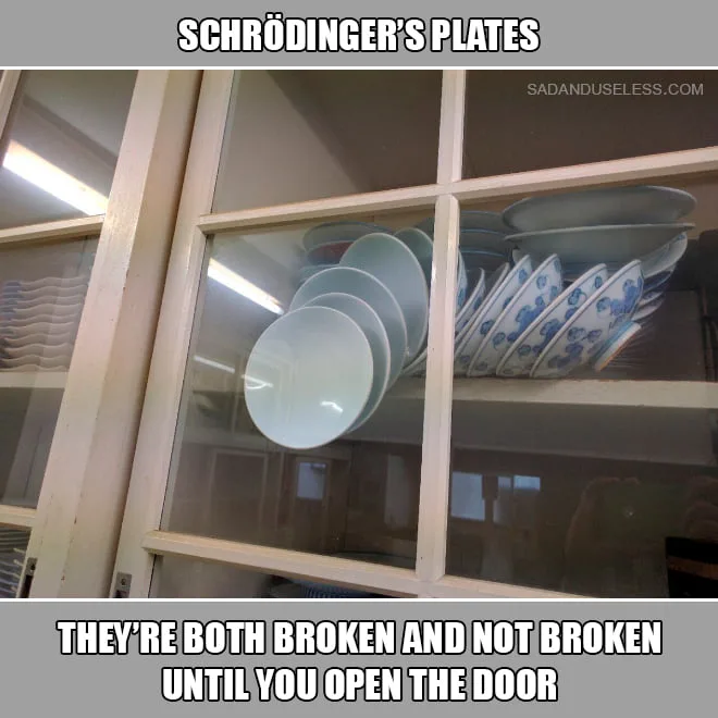 Schroedinger's cat meme