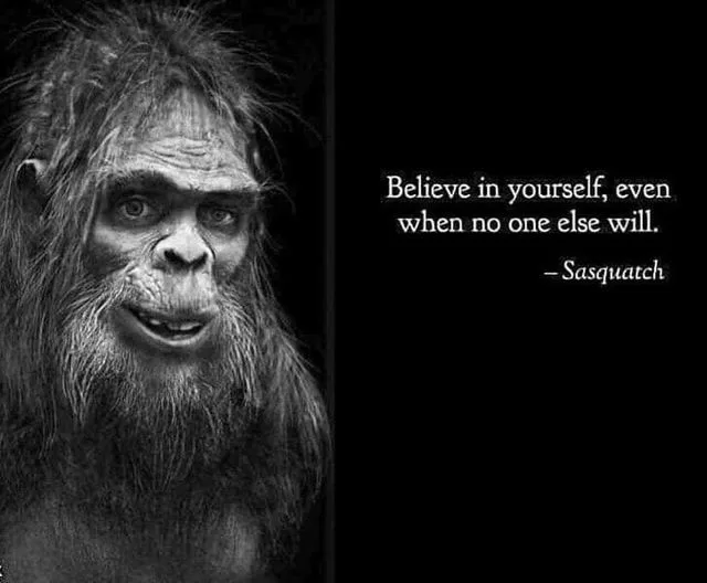 Bigfoot meme