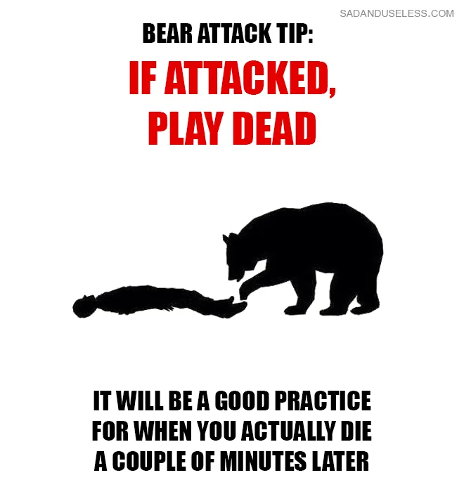 bear meme