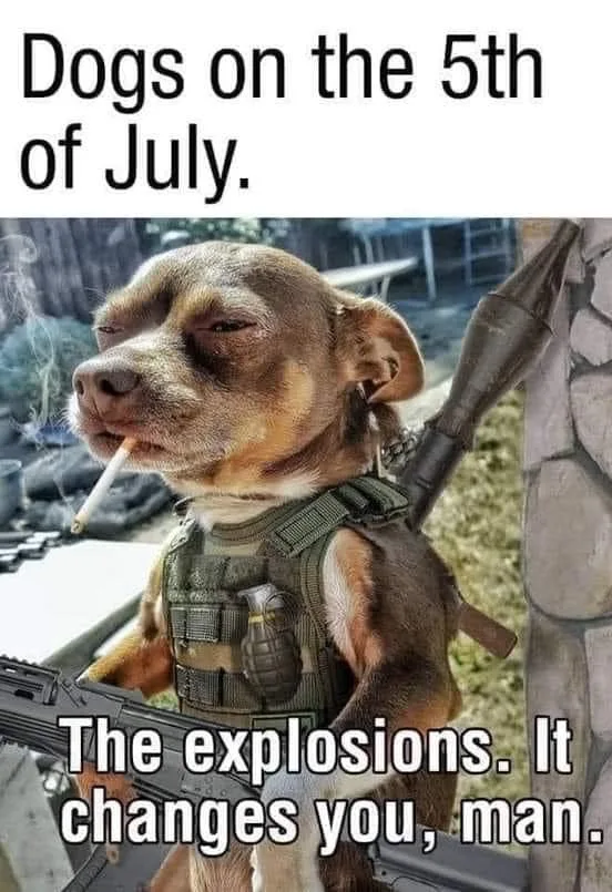 trauma meme