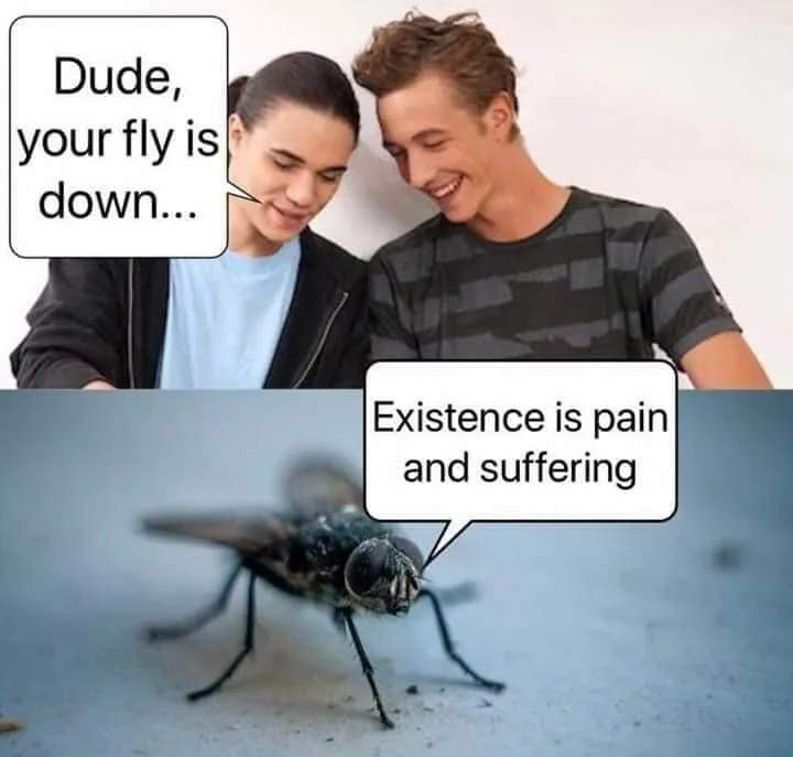 fly meme