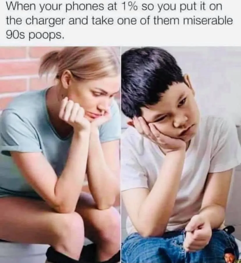 toilet meme