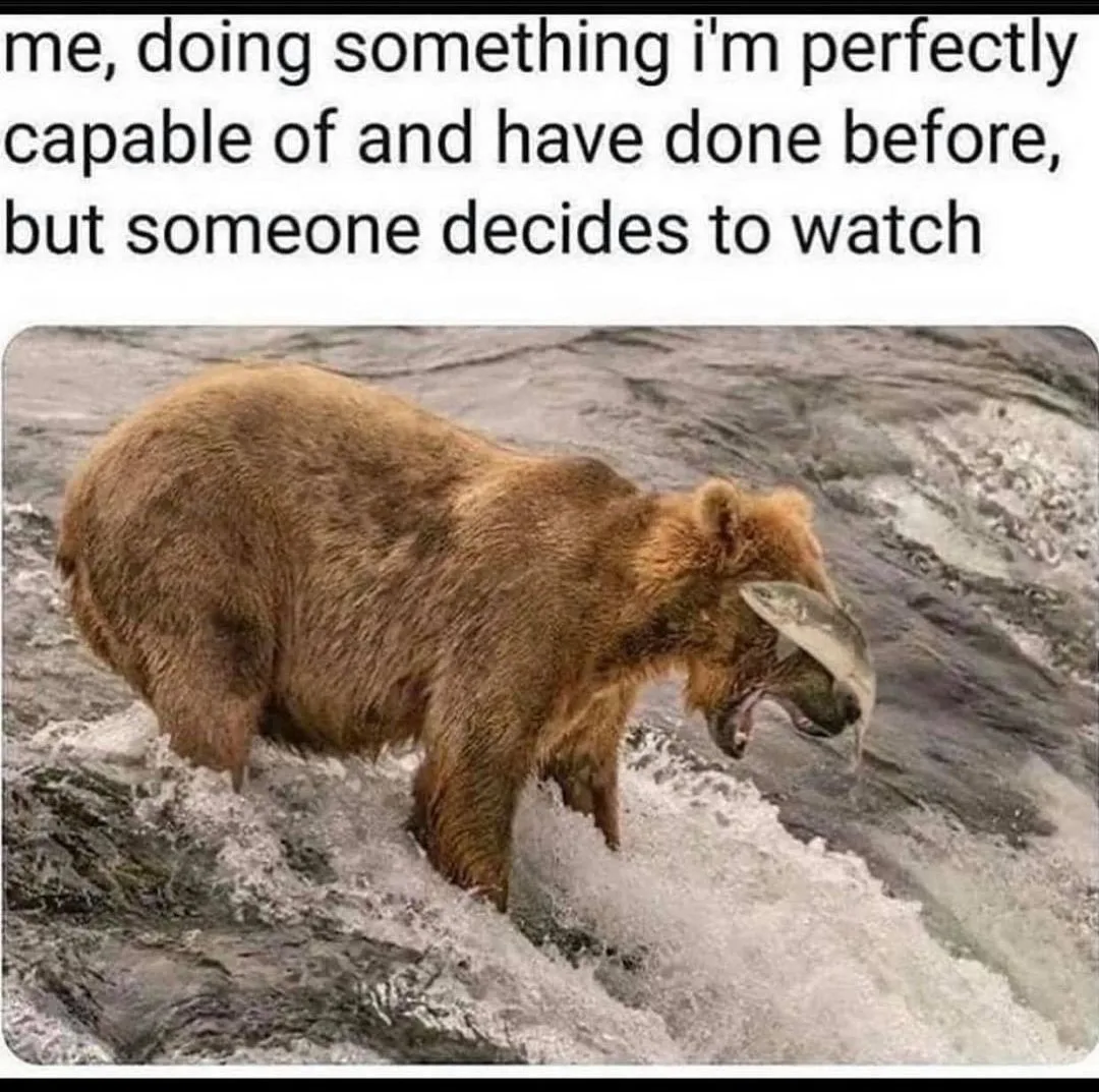 spectatorship meme