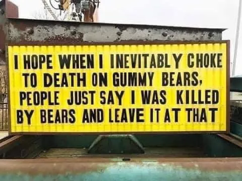 bear meme