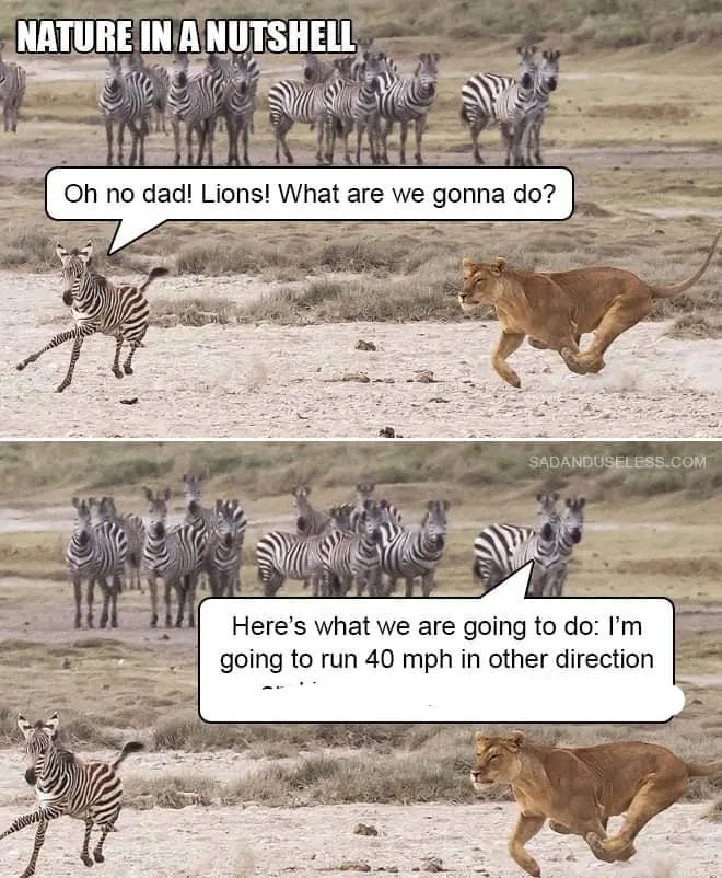 parenthood meme