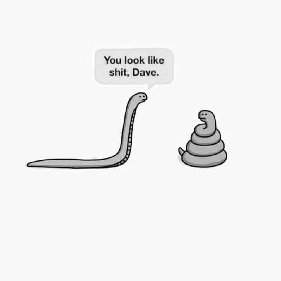 snake meme