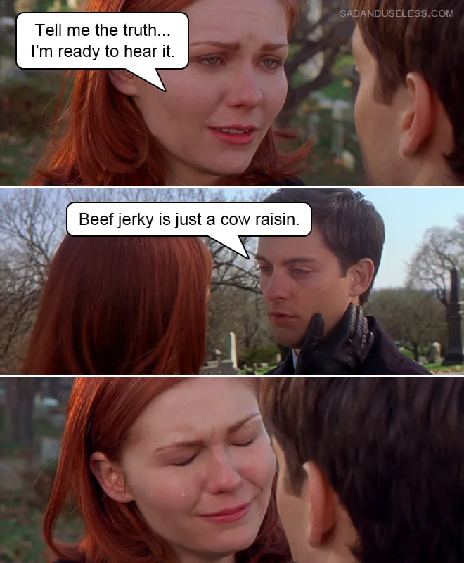 beef jerky meme