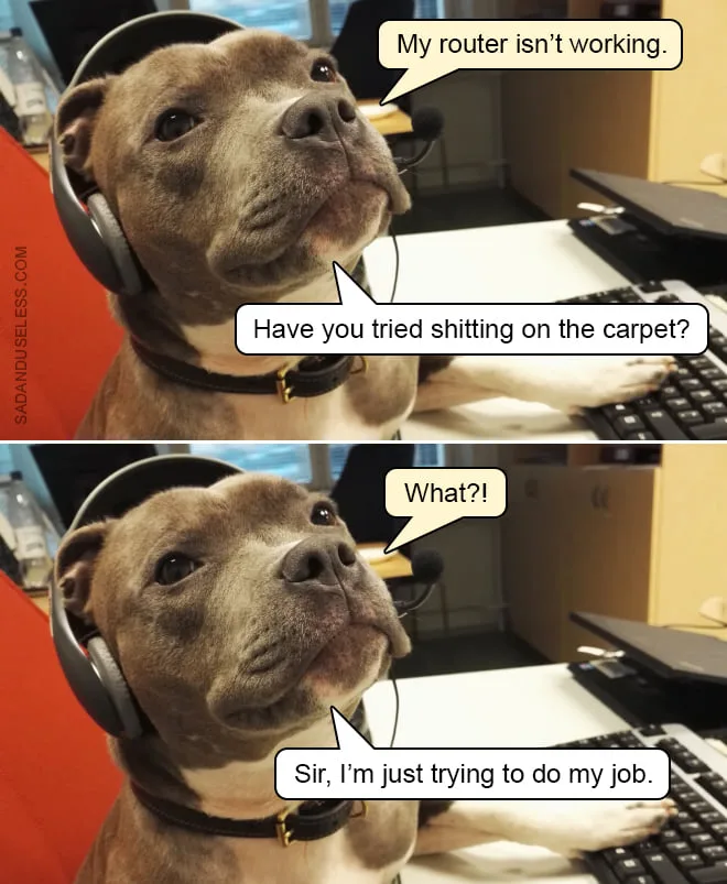 Internet meme