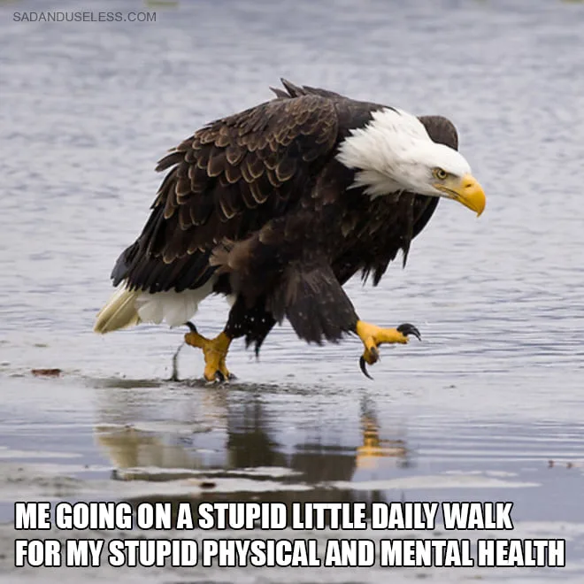 walking meme