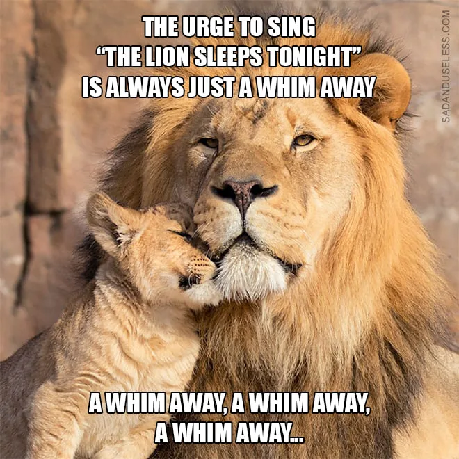 lion meme