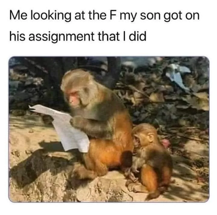 homework meme