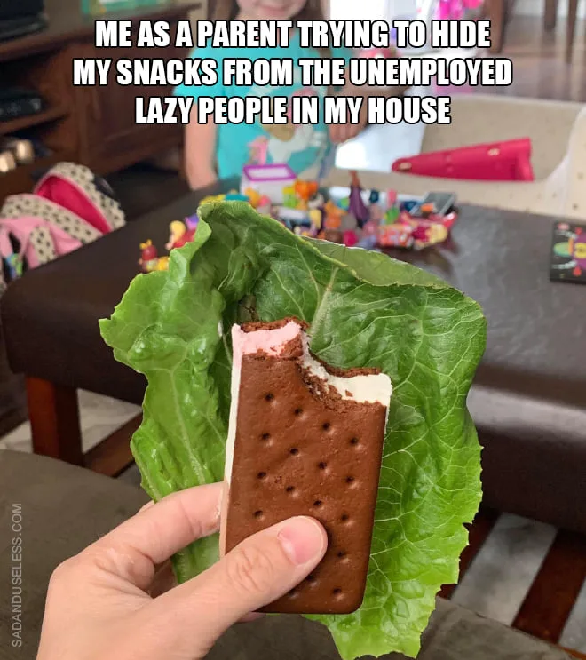 parenting meme