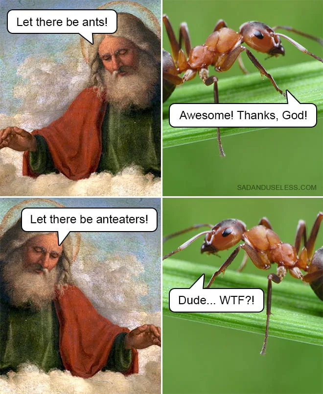evolution meme