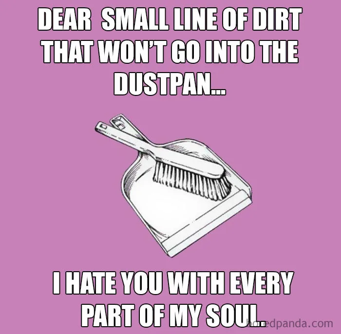 broom meme