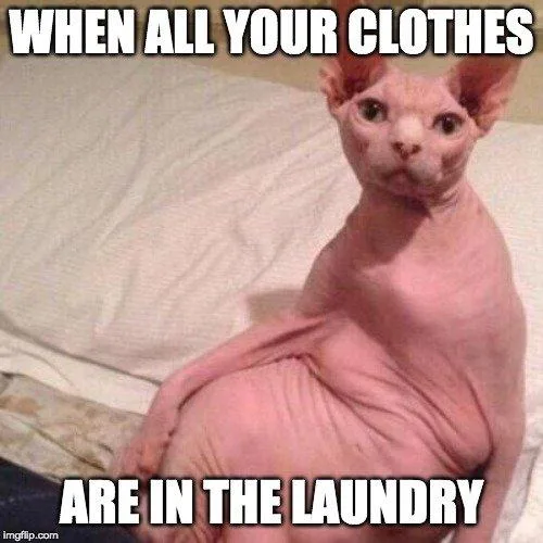 laundry meme