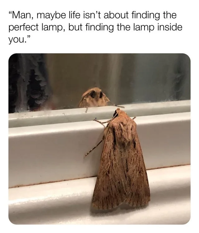 self-love meme