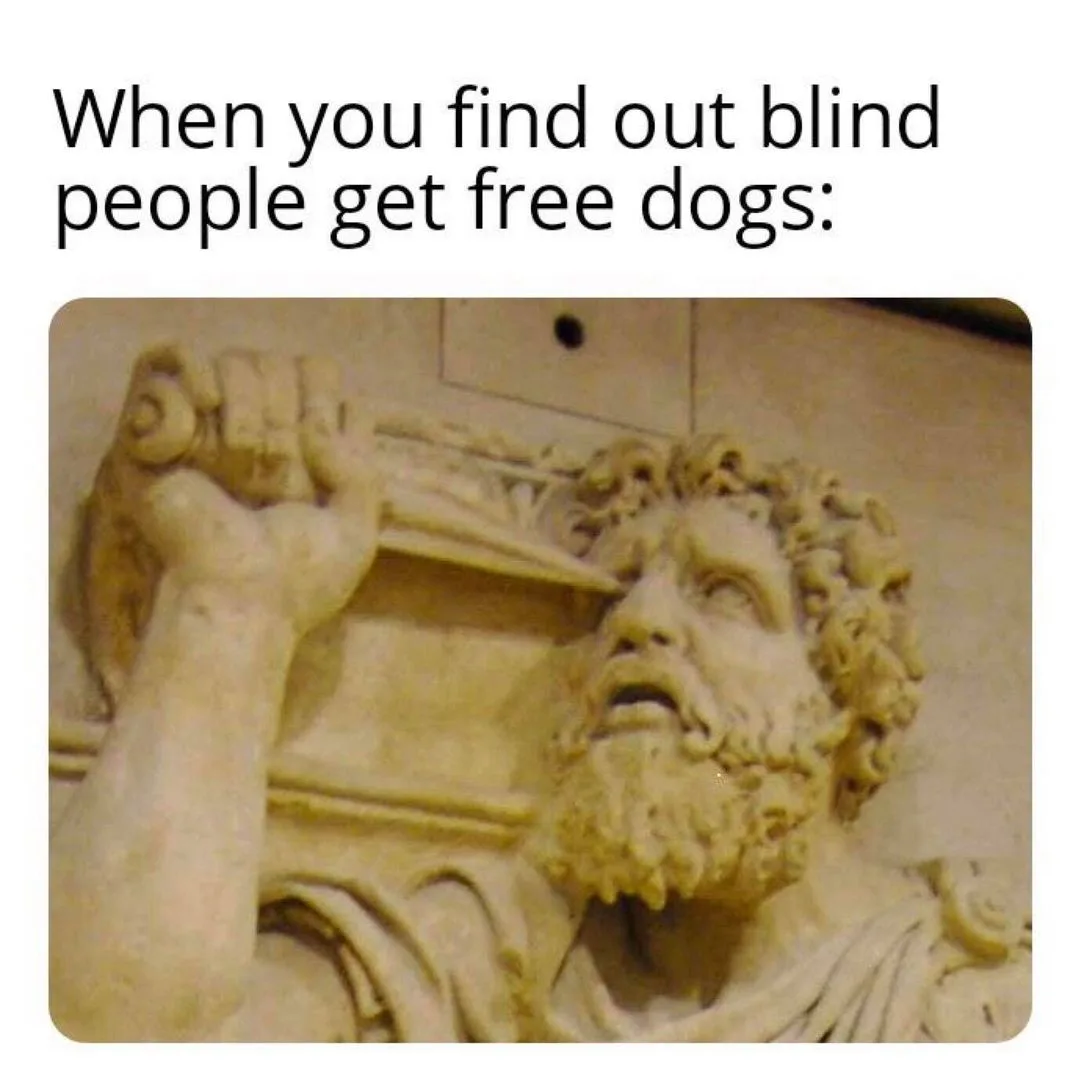 dog owner meme