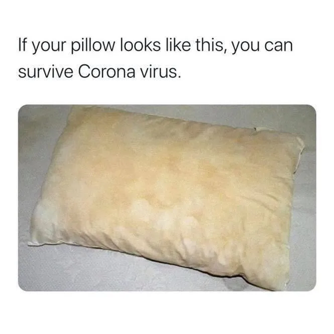 pillow meme