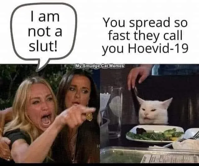slut meme