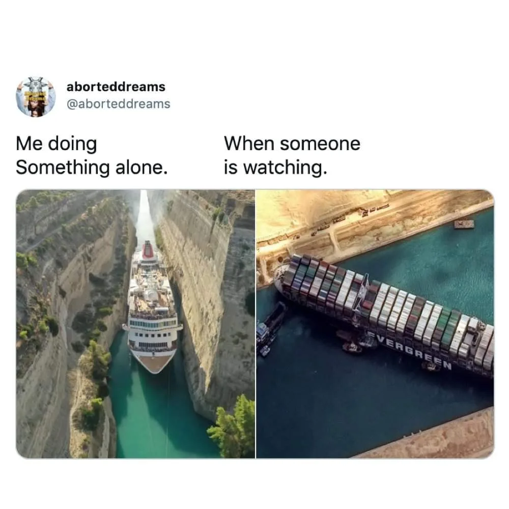 spectatorship meme