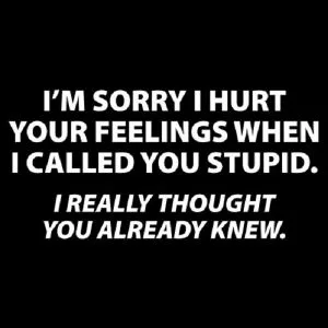 insult meme
