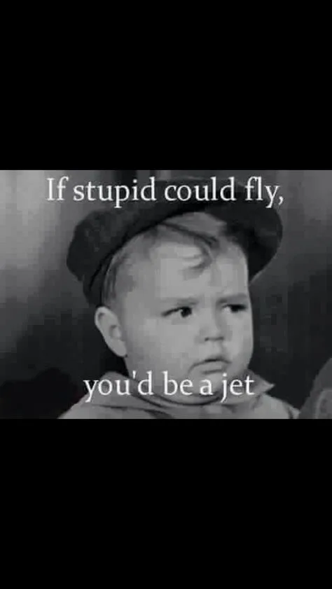 stupidity meme