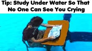 studying meme
