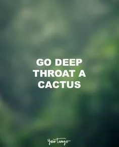cactus meme