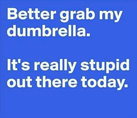 stupidity meme