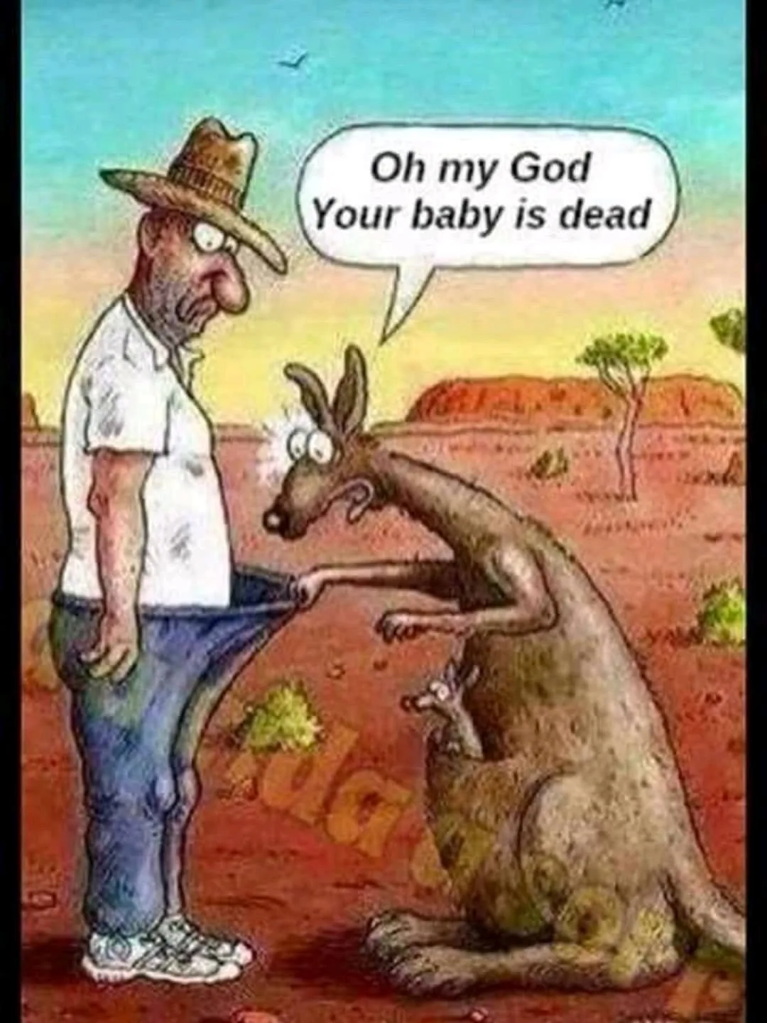 kangaroo meme