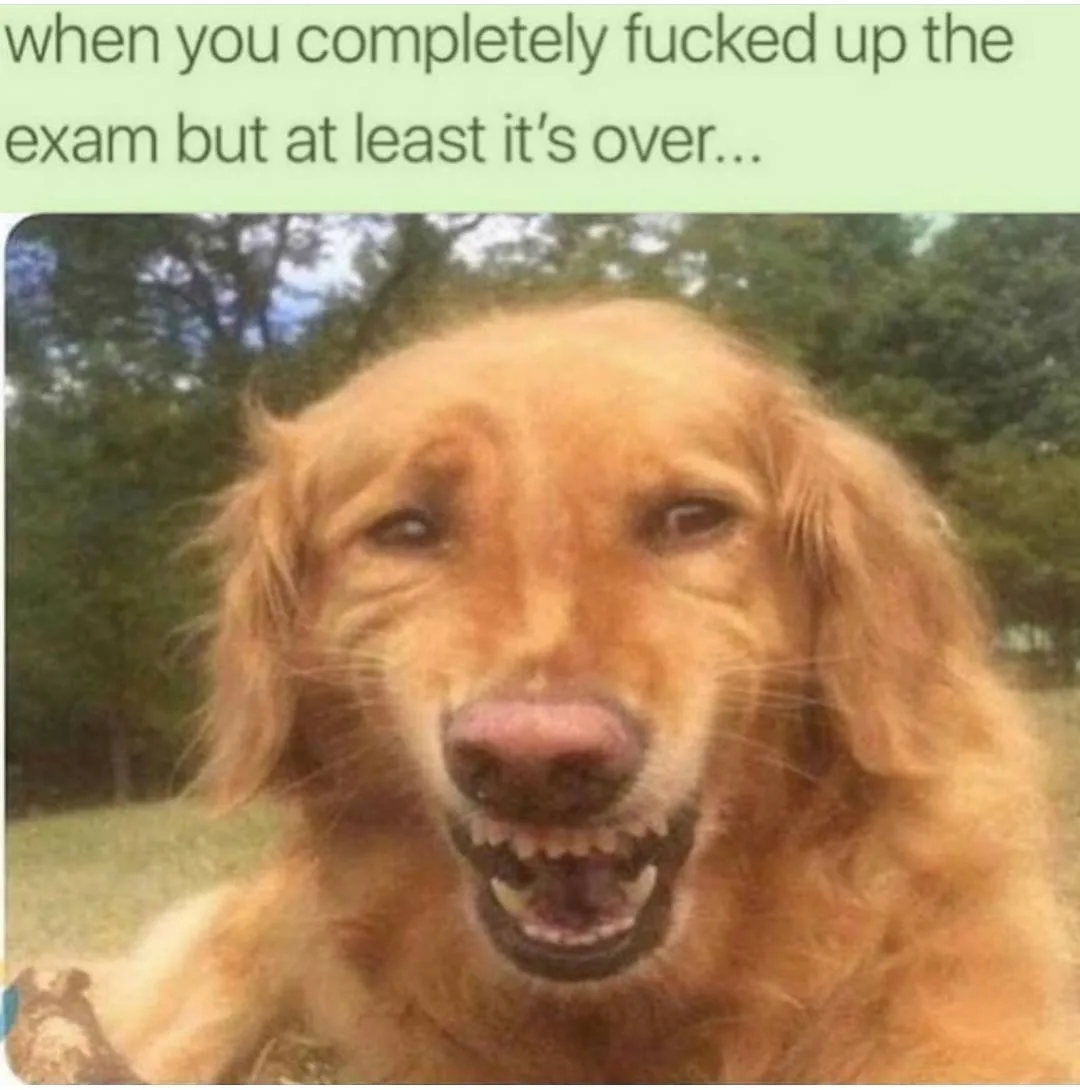 exam meme