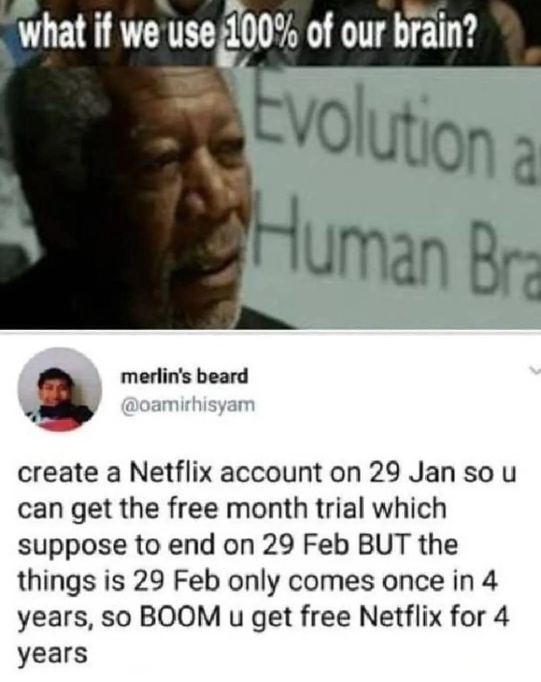Netflix meme