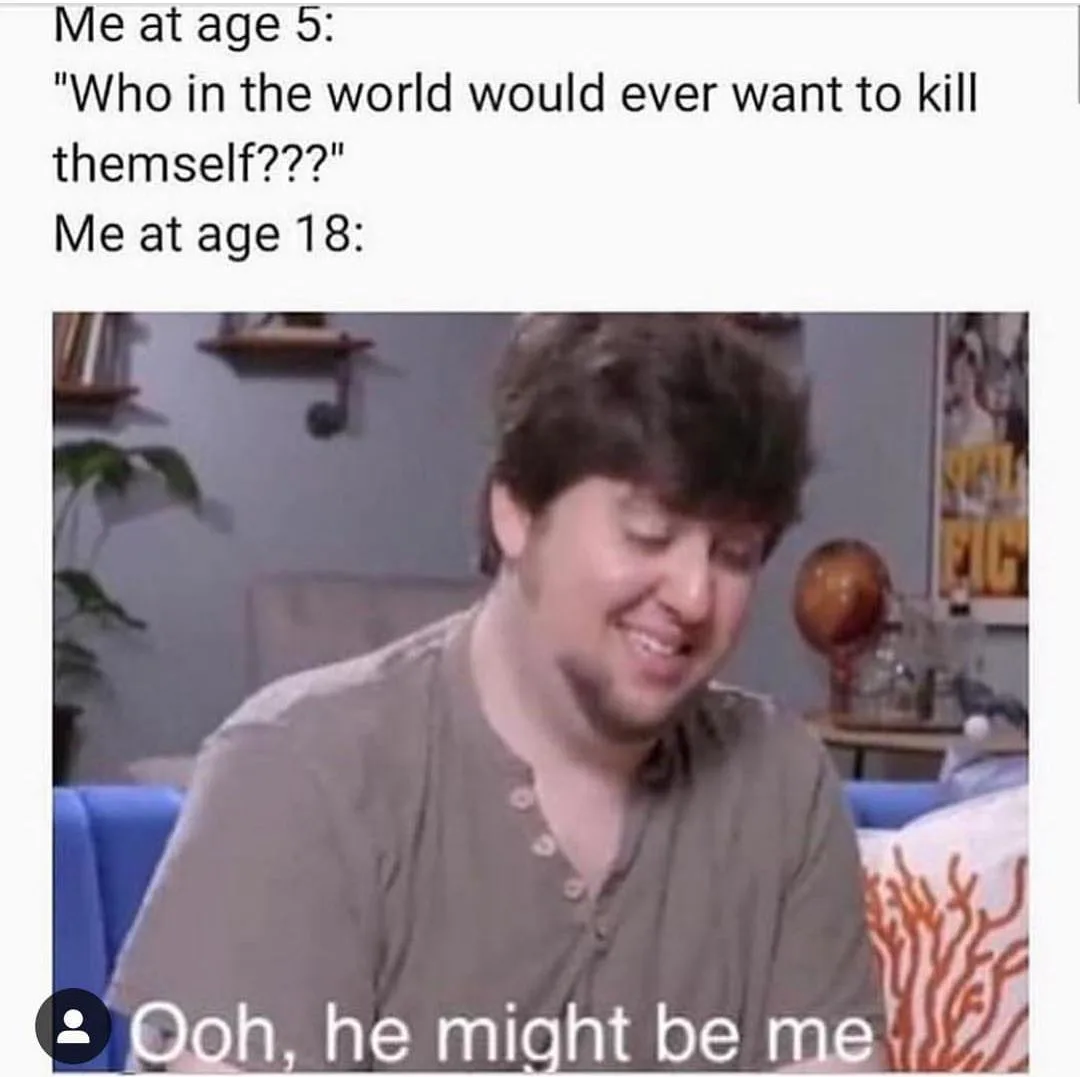 adulthood meme