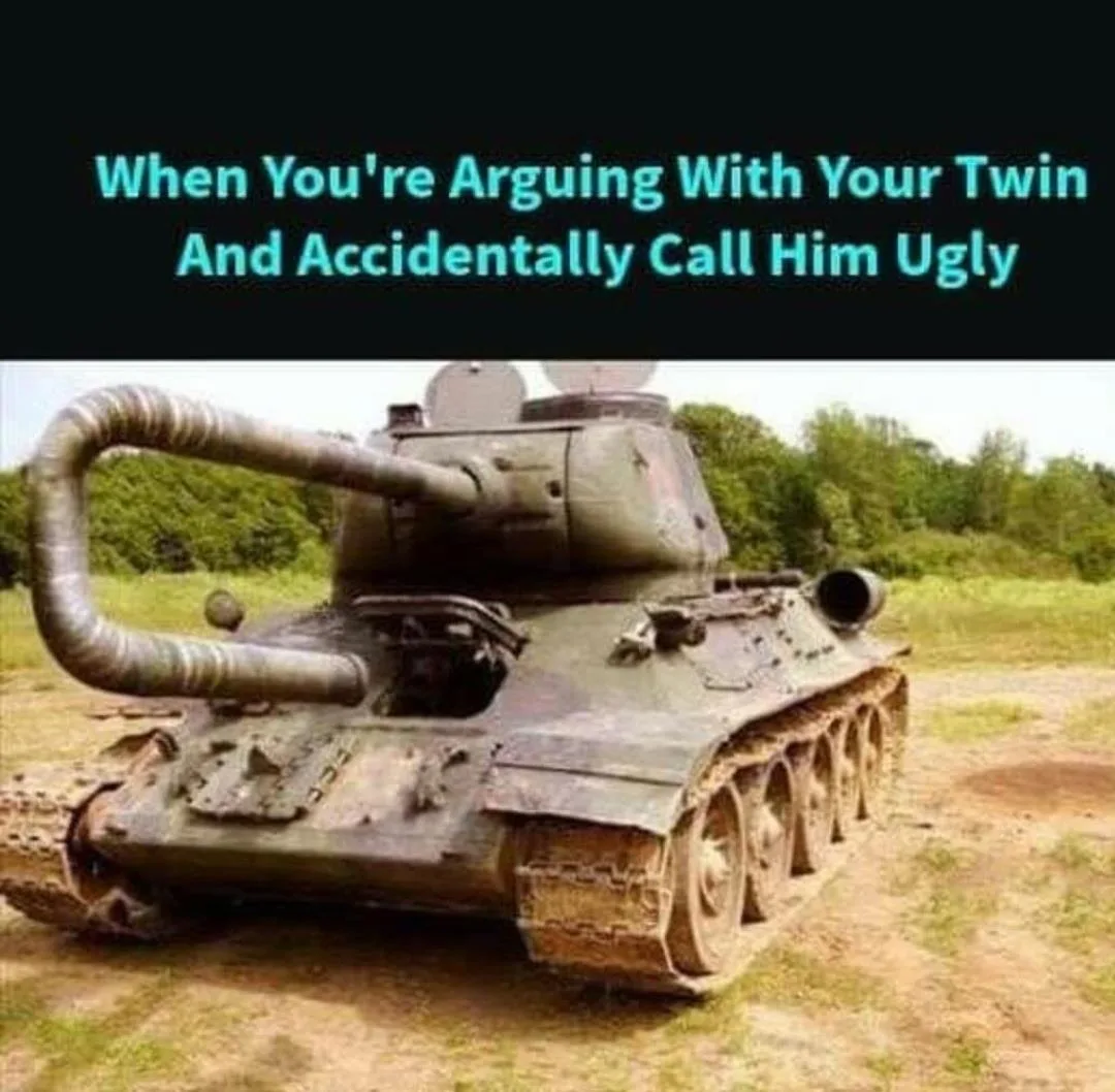 twin meme