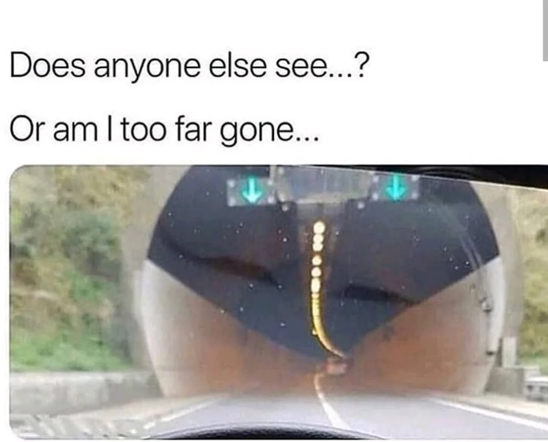 optical illusion meme