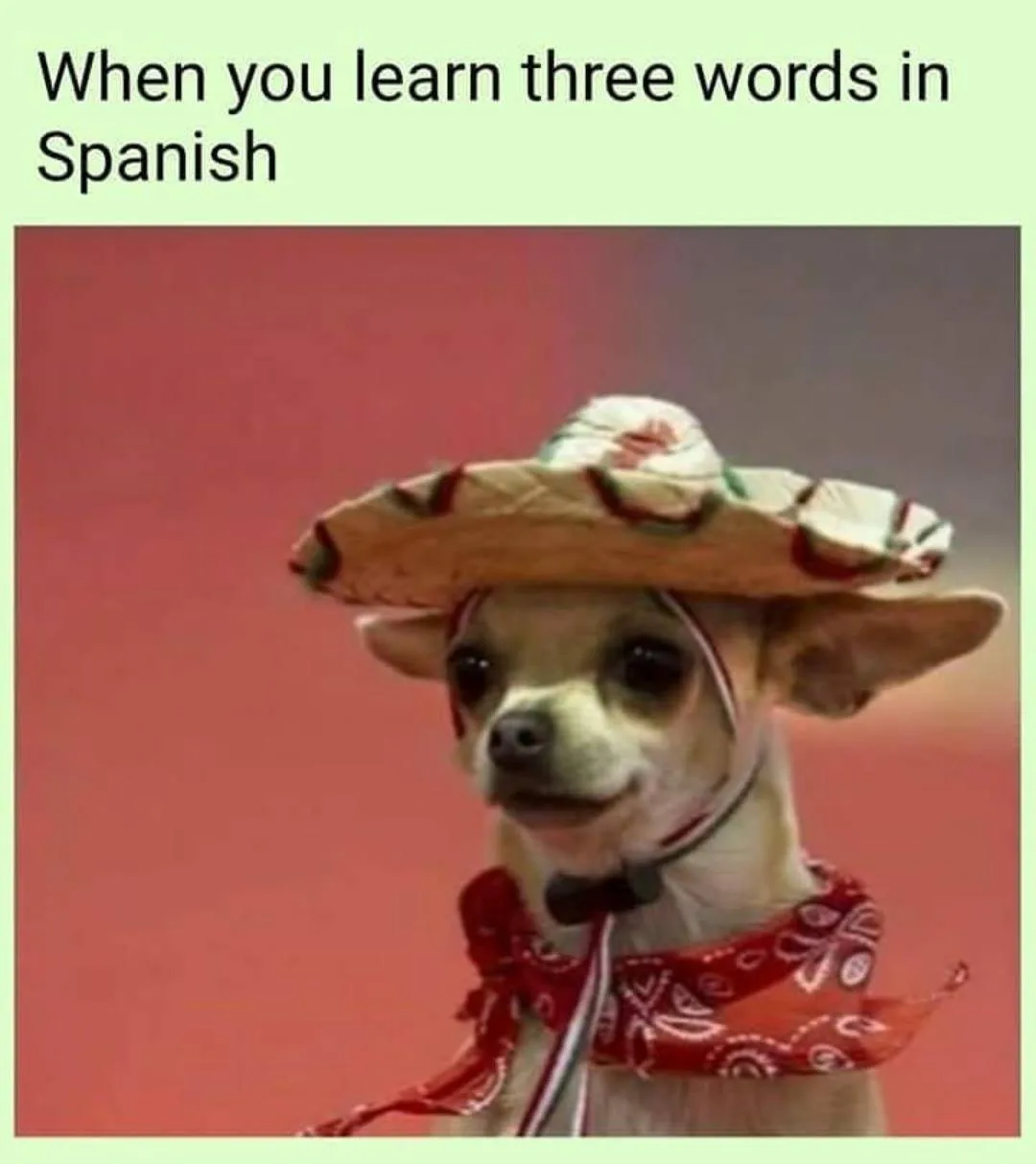foreign language meme