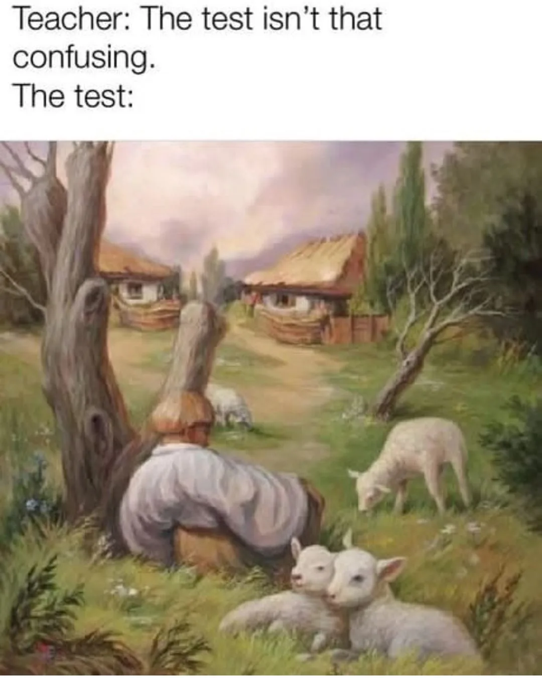 exam meme