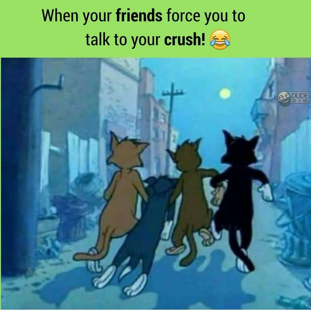 crush meme
