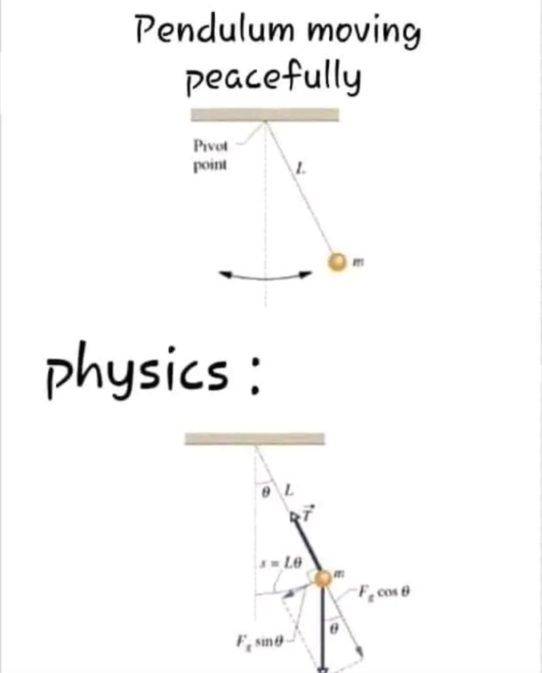 physics meme