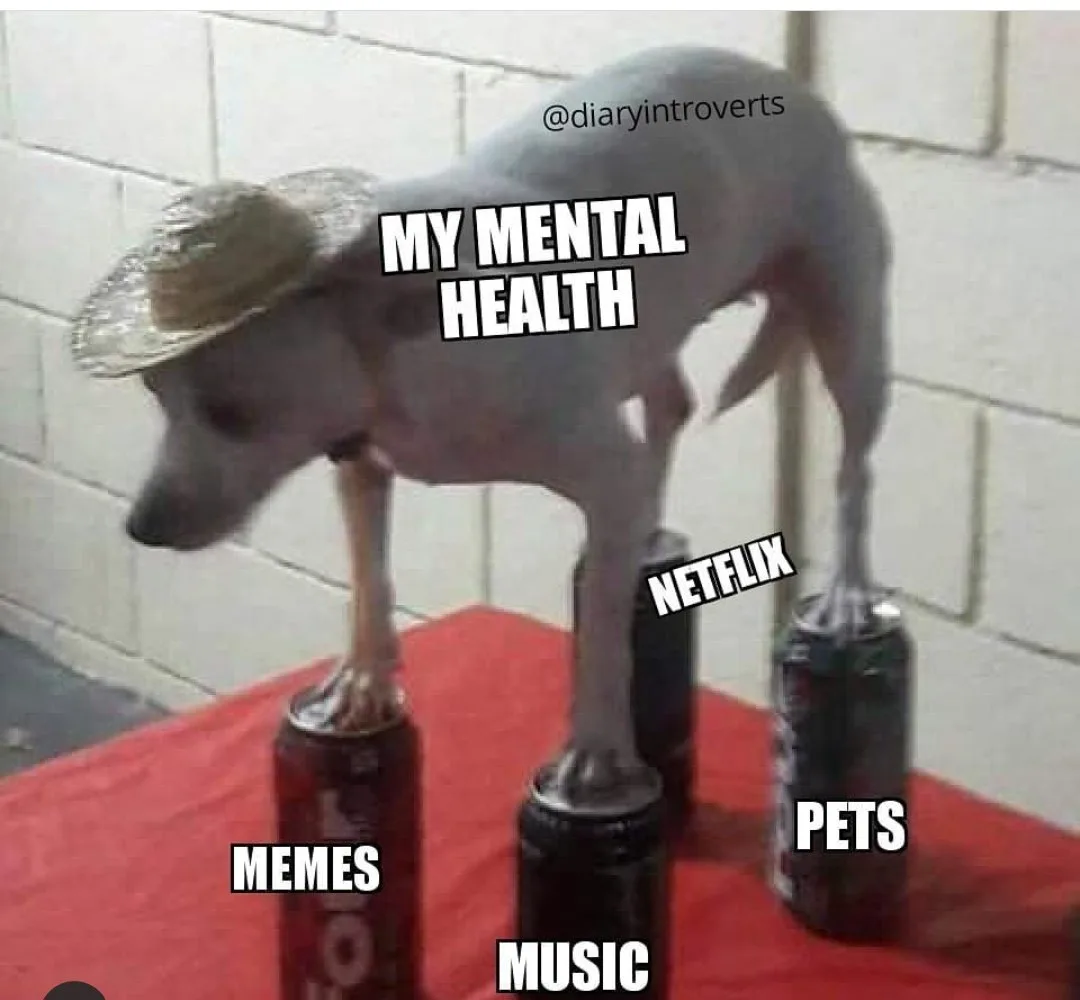 Netflix meme
