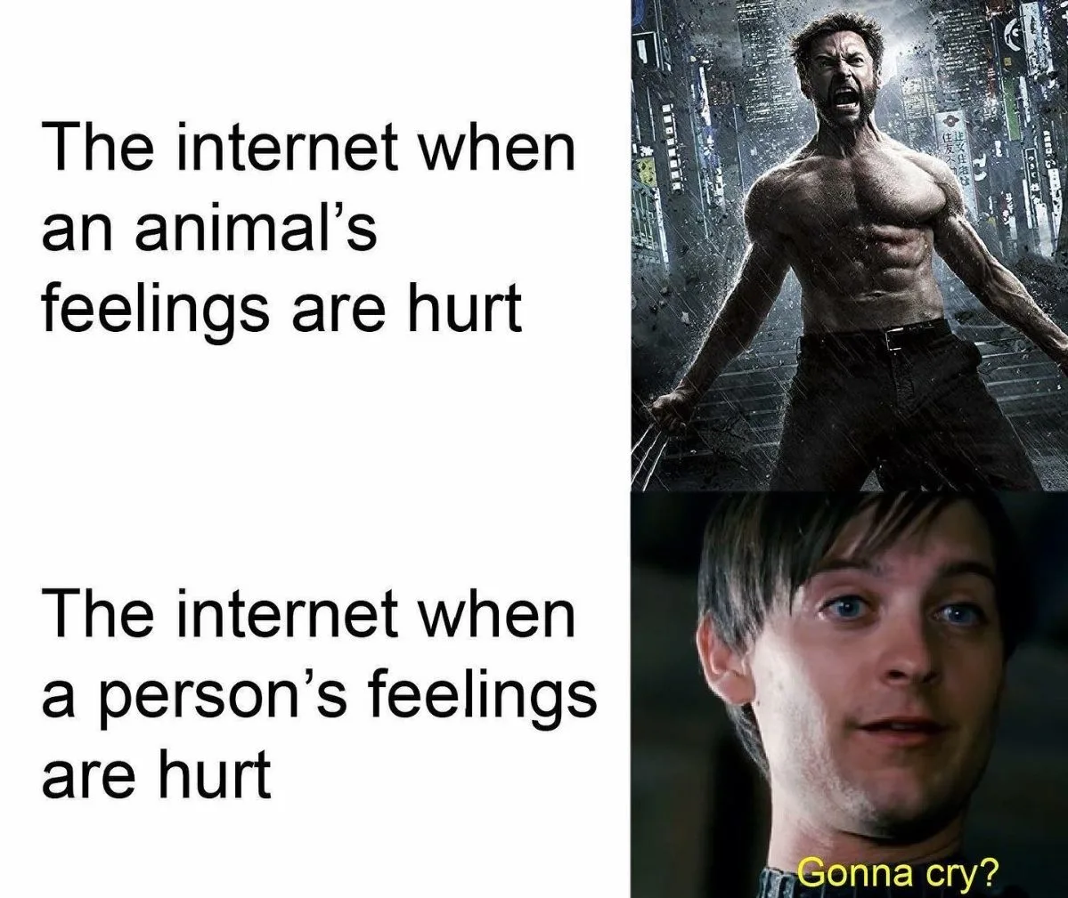 bullying meme