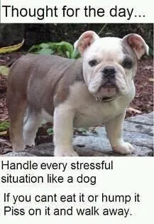 stress meme