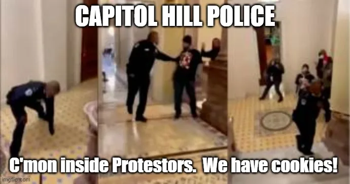 January 6th Insurrection meme