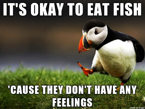 fish meme