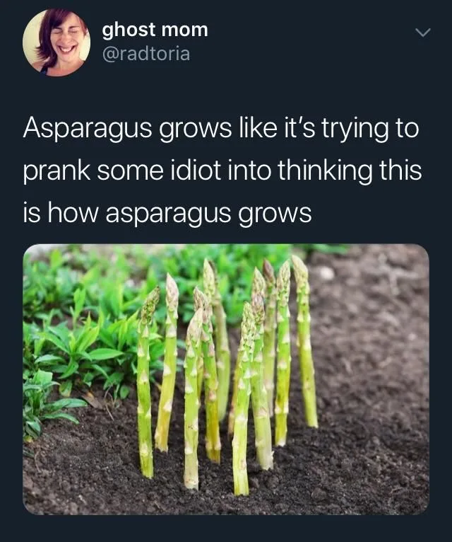 asparagus meme