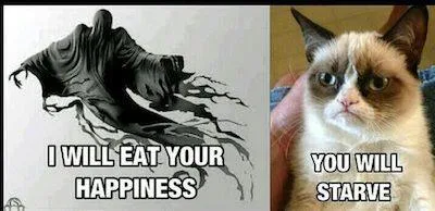 happiness meme