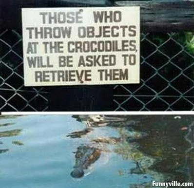 crocodile meme