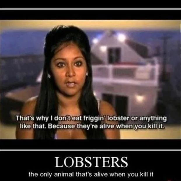 lobster meme
