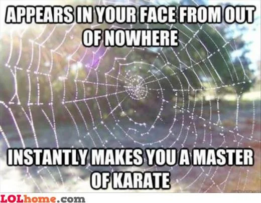 spider meme